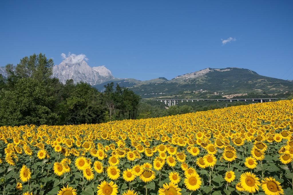 Locanda Del Parco Hotel Colledara Экстерьер фото